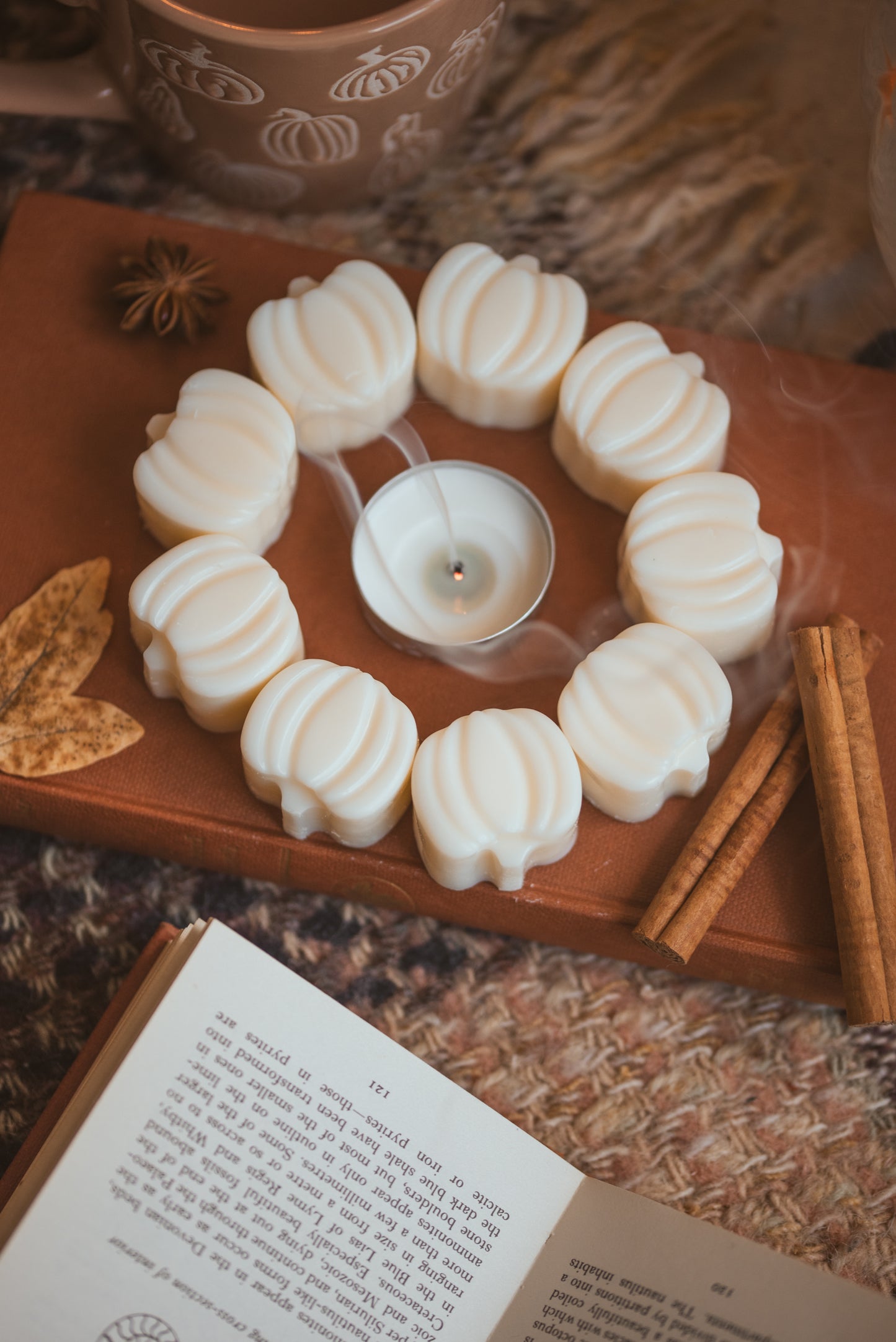 Pumpkin Spice Scented Soy Wax Melts