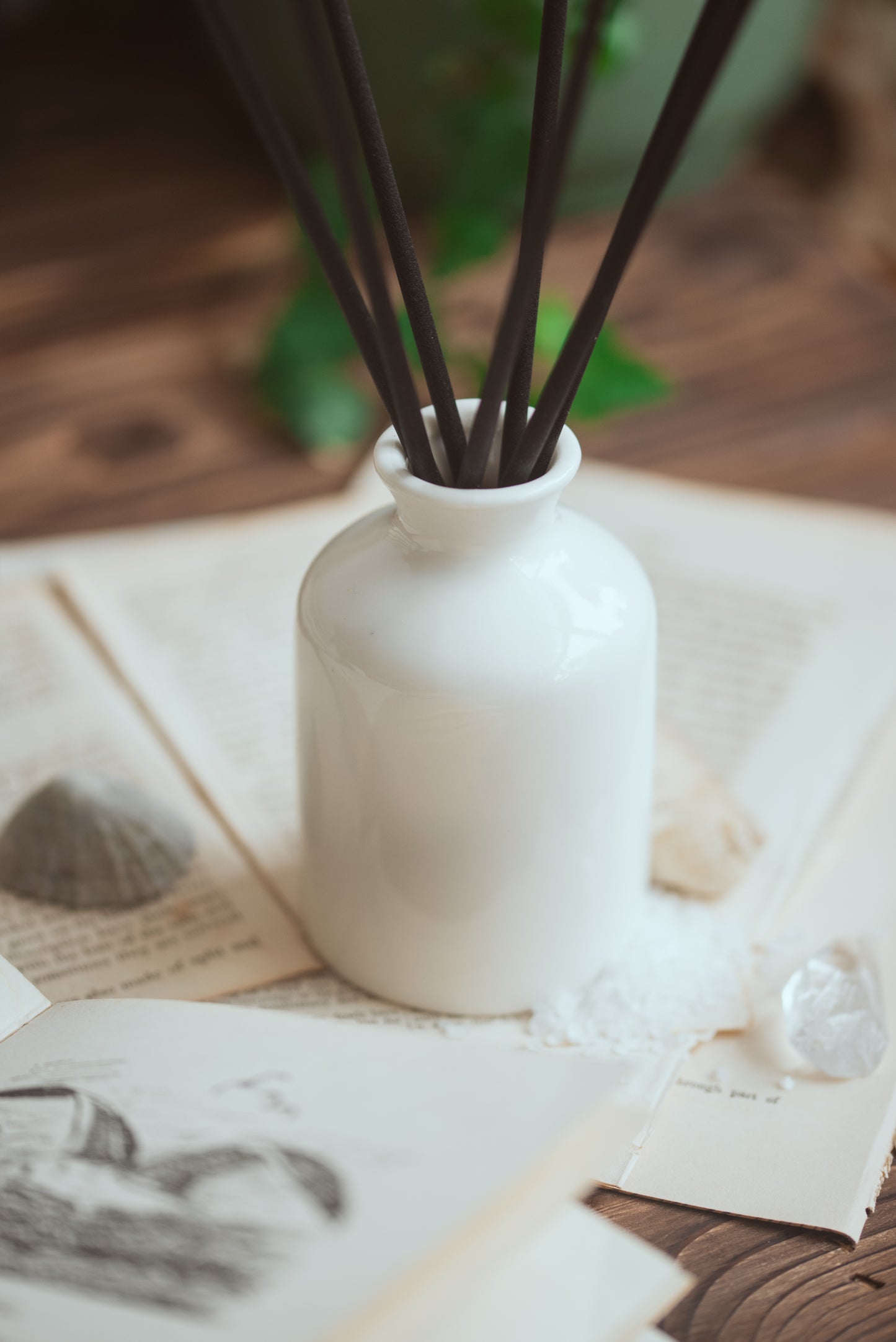 Sea Salt & Sandalwood Refillable Reed Diffuser