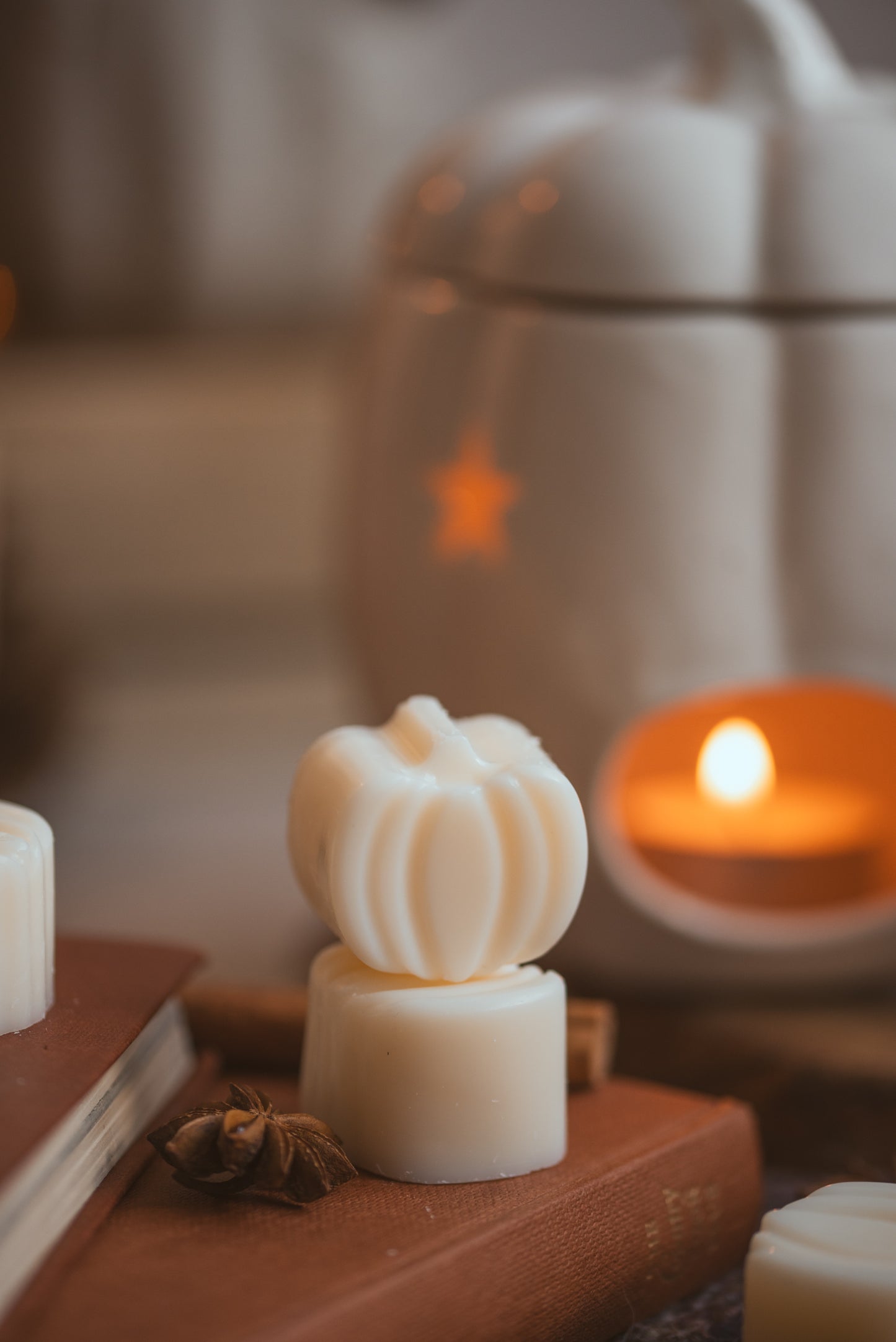 Pumpkin Spice Scented Soy Wax Melts
