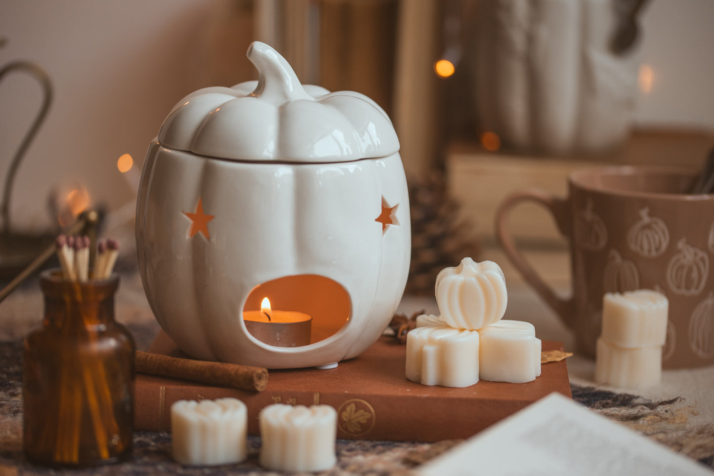 Pumpkin Spice Scented Soy Wax Melts