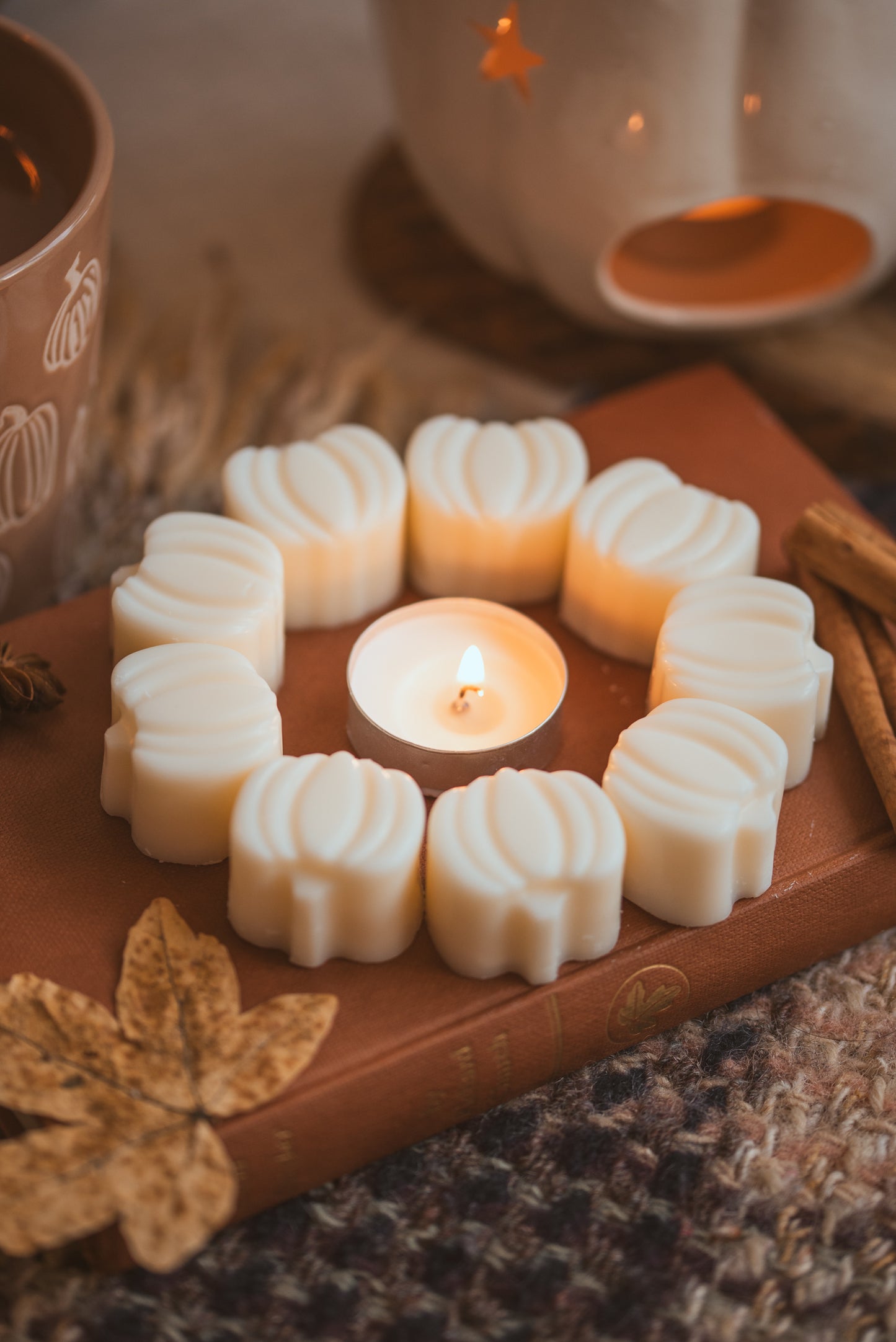 Pumpkin Spice Scented Soy Wax Melts