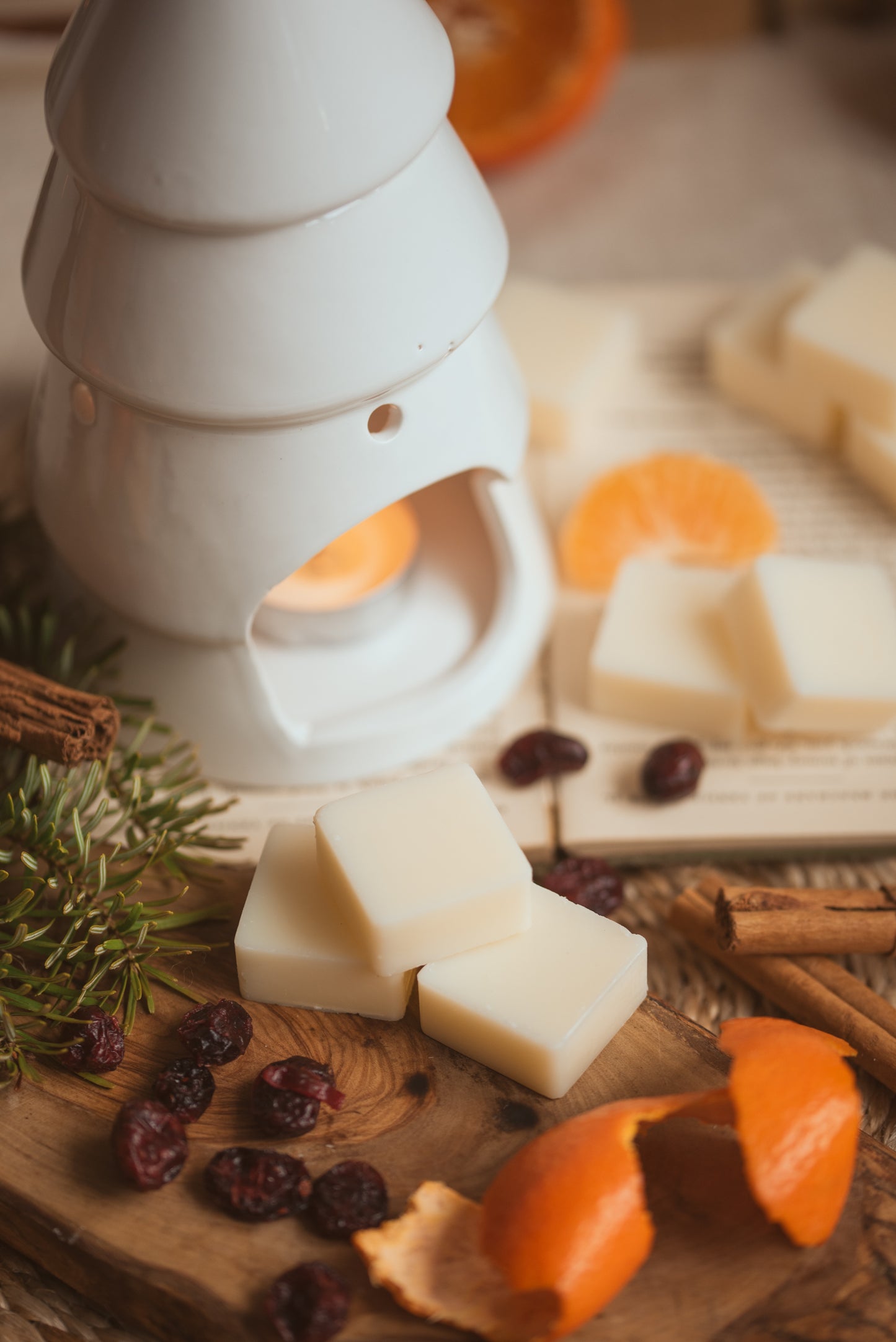 Spiced Orange Scented Soy Wax Melts