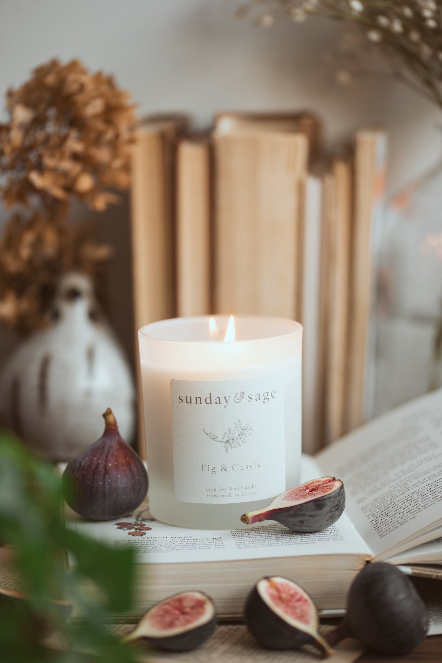 Fig & Cassis Scented Soy Candle