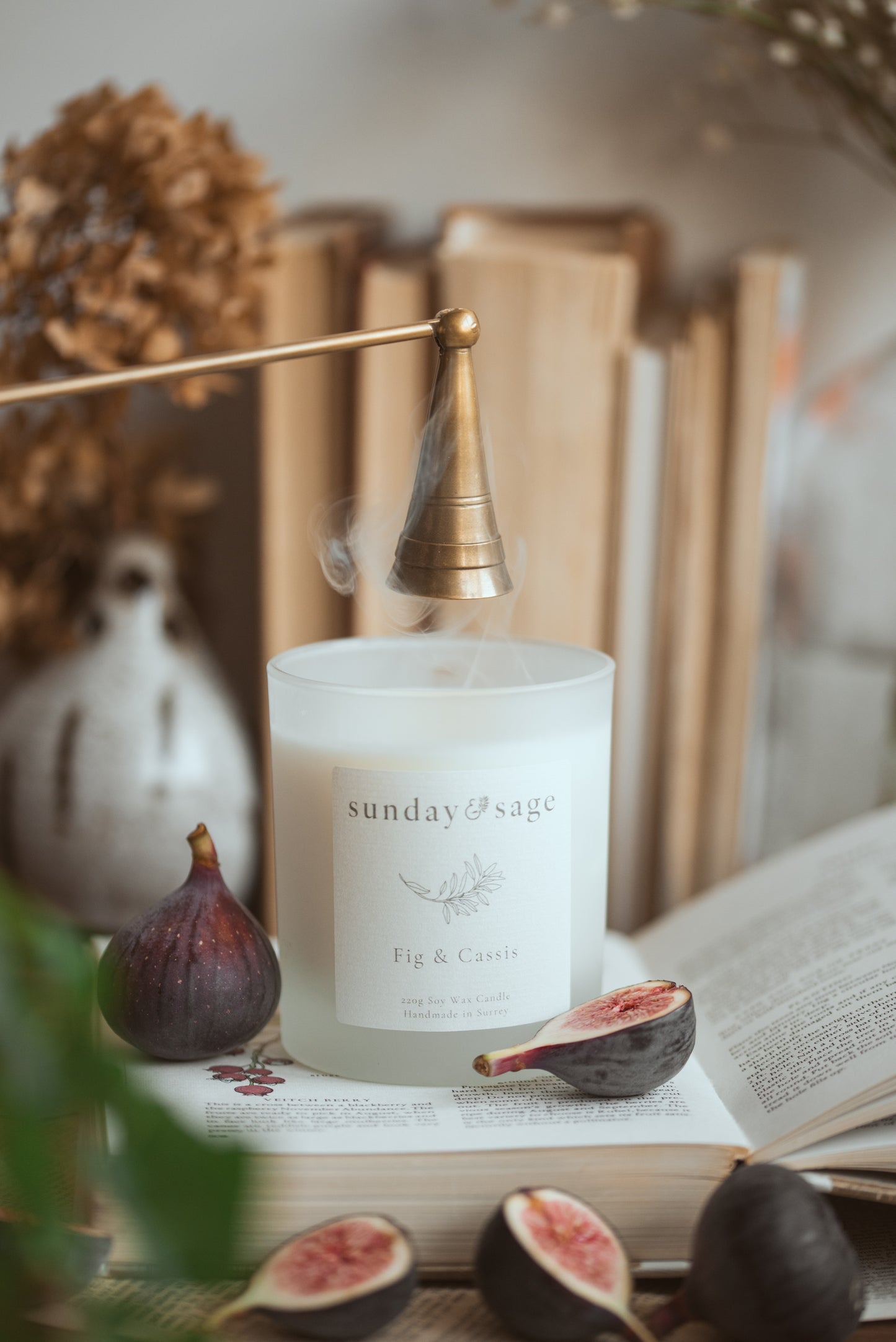 Fig & Cassis Scented Soy Candle