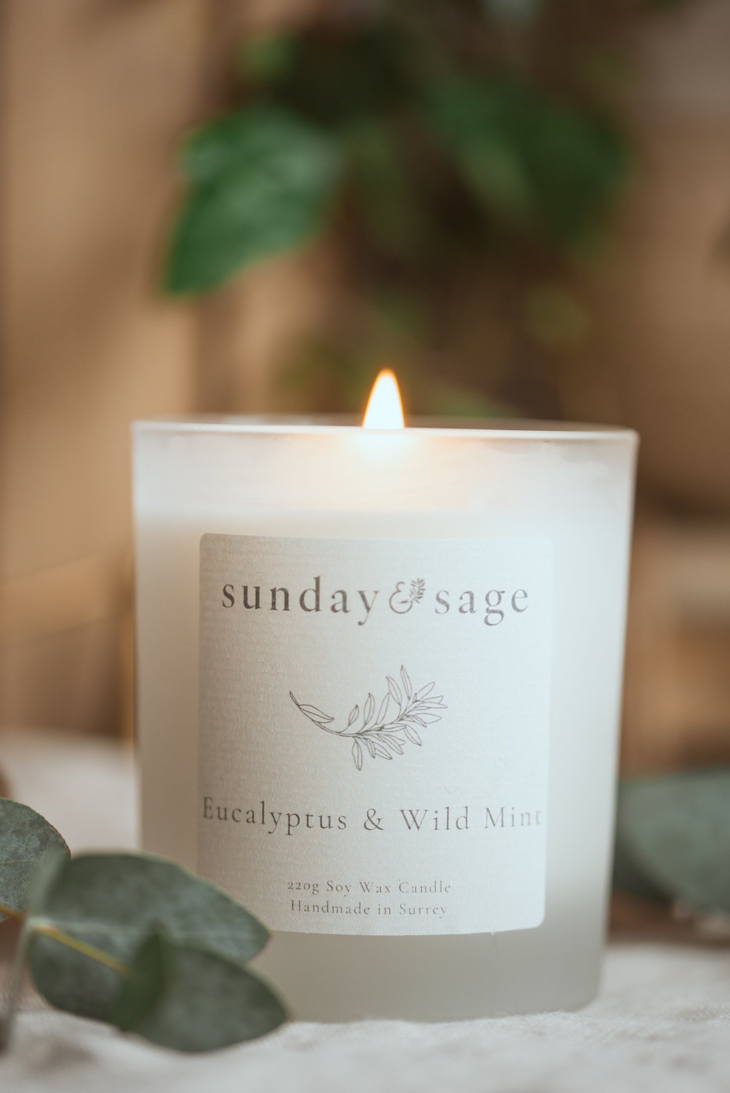 Eucalyptus & Wild Mint Scented Soy Candle