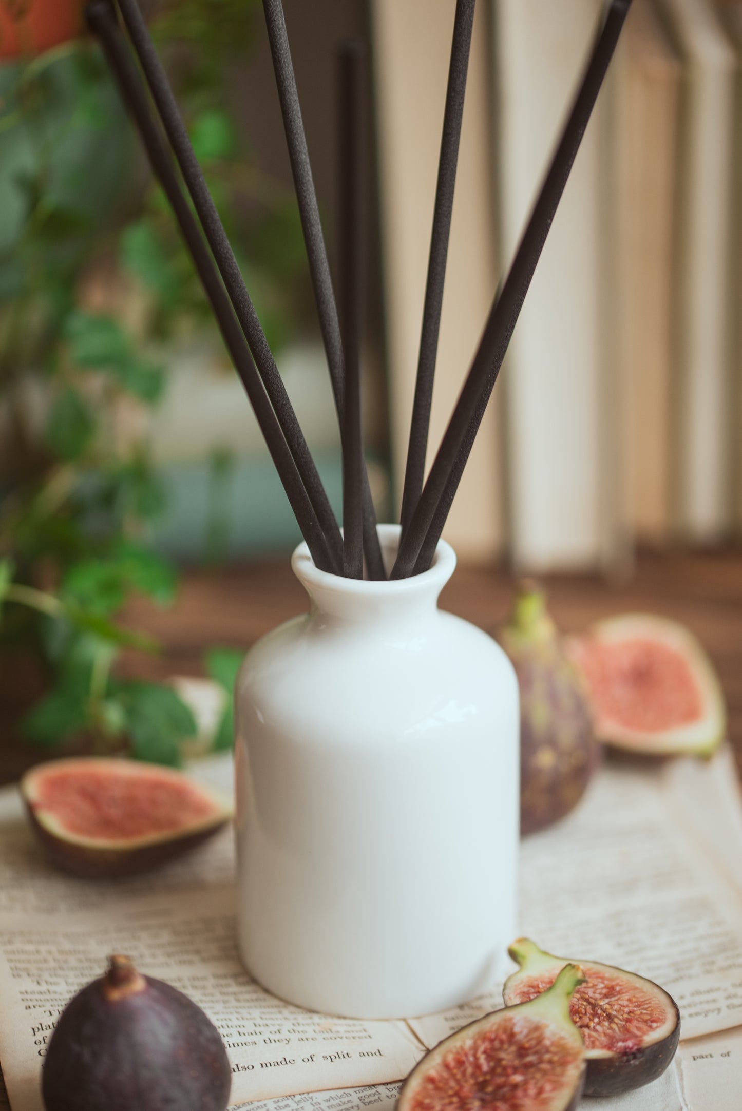 Blackcurrant, Amber & Fig Refillable Reed Diffuser