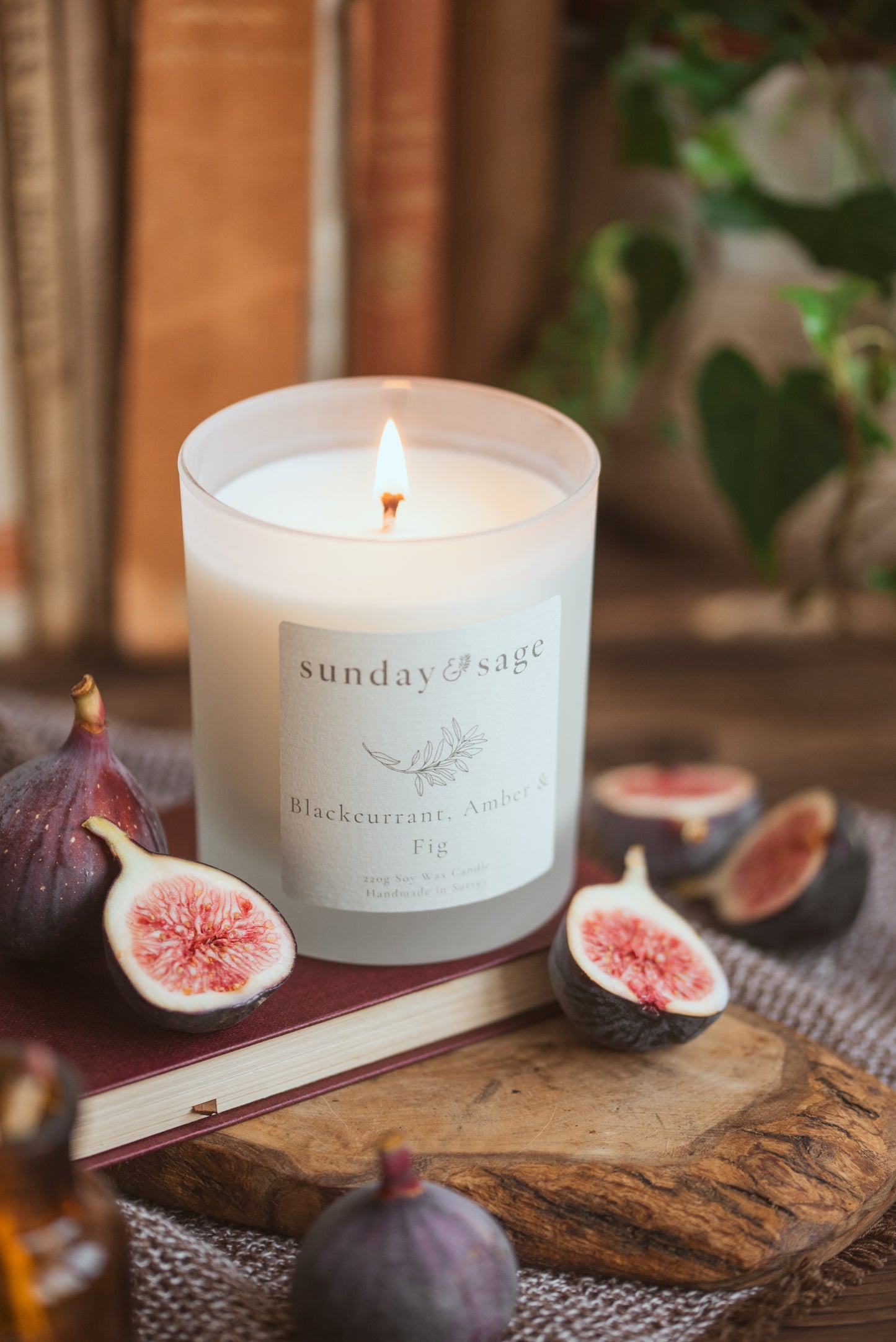 Blackcurrant, Amber & Fig Scented Soy Candle