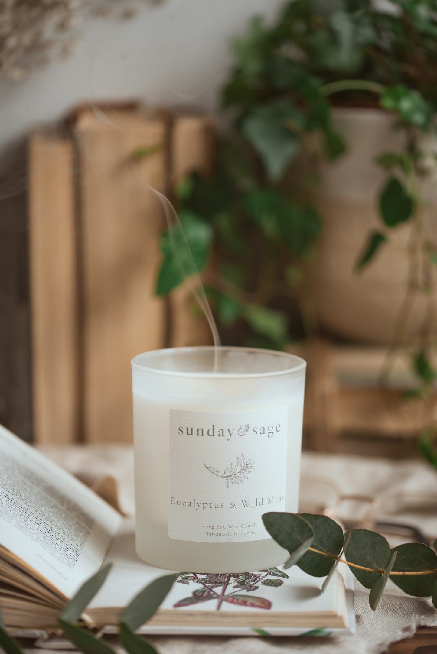 Eucalyptus & Wild Mint Scented Soy Candle