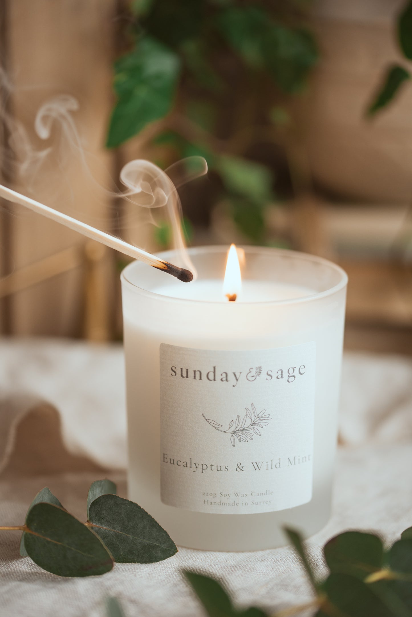 Eucalyptus & Wild Mint Scented Soy Candle